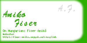 aniko fiser business card
